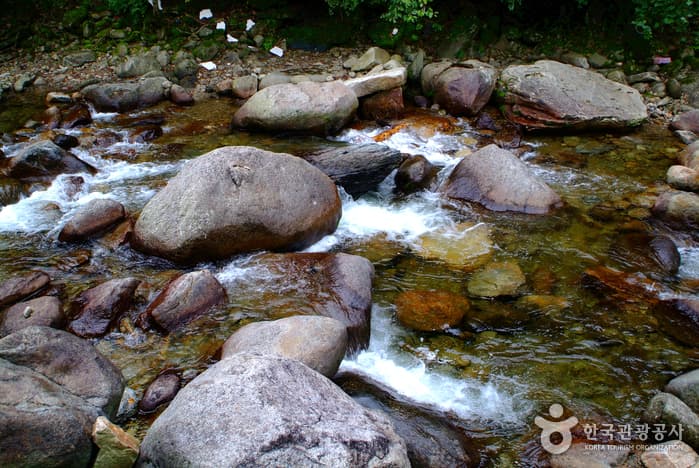 Dariangyegok Valley (다리안계곡)