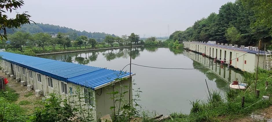 Danggol Fishing Area (당골낚시터)