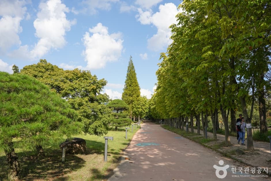 Gyeongbuk Millennium Forest Garden (경북천년숲정원)