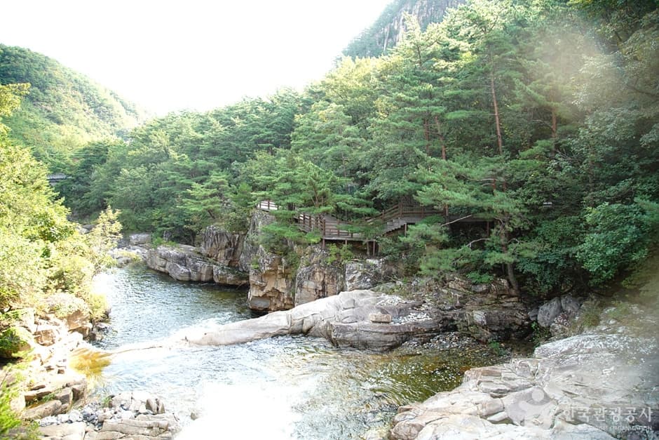 Mureunggyegok Valley Healing Campground (무릉계곡 힐링캠핑장)