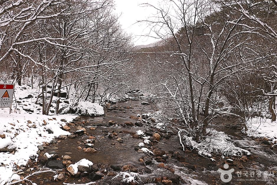 Sanasagyegok Valley (사나사계곡)