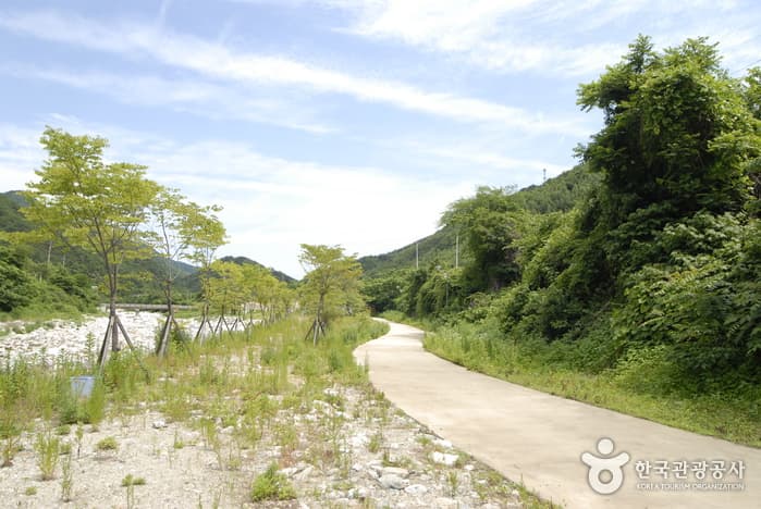 Jinburyeong Heulli Village (진부령 흘리마을)