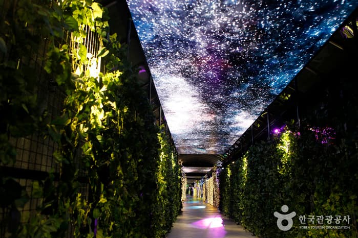 Suyanggae Light Tunnel (단양 수양개빛터널)