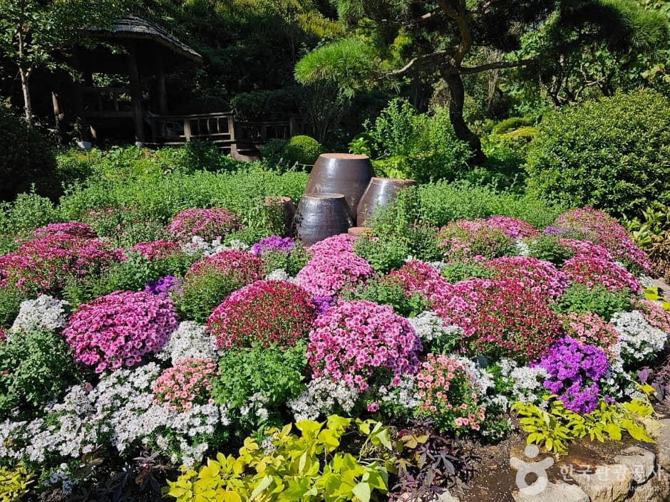 The Garden of Morning Calm (아침고요수목원)