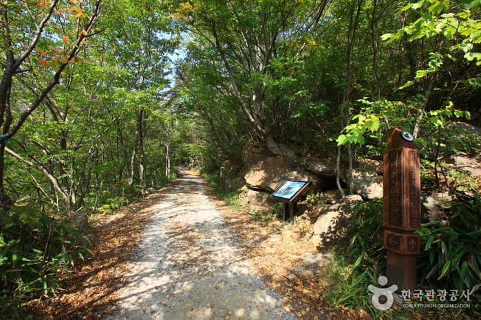 Piagolgyegok Valley (피아골계곡)