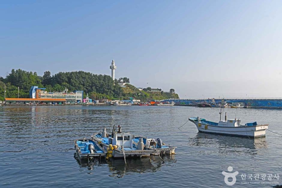 Daejinhang Port (대진항)
