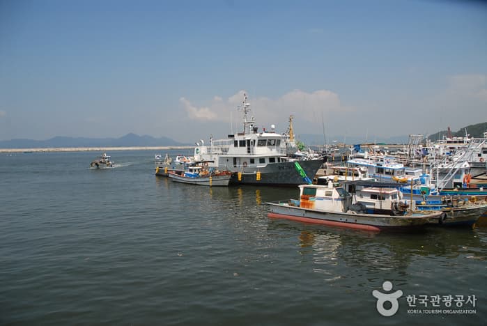 Daecheon Port (대천항)