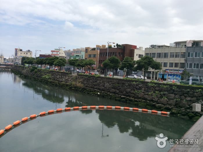 Sanjicheon Stream (산지천)