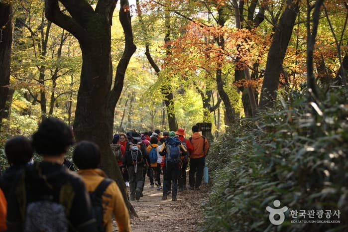 Songnisan National Park (Chungcheongbuk-do Section) [속리산국립공원(충북)]