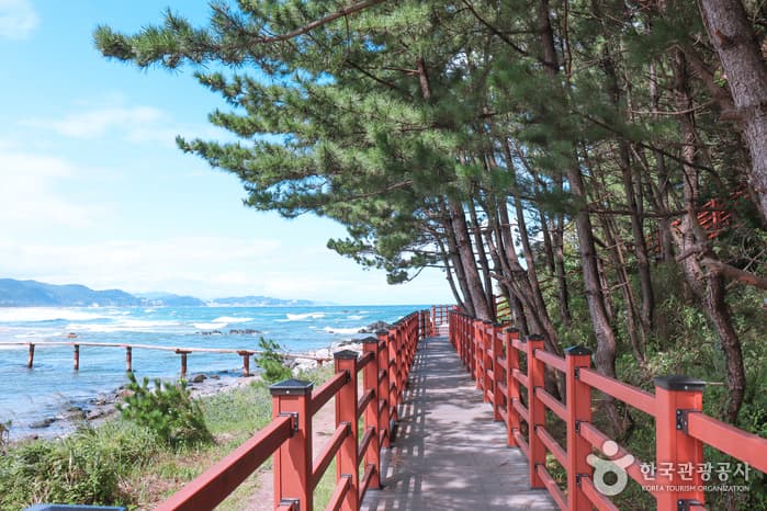 Deokbongsan  Coastal Eco-trail (덕봉산 해안생태탐방로)