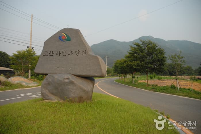 Gosan Recreational Forest (고산자연휴양림)