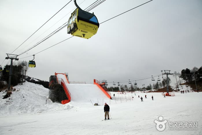 Welli Hilli Park Snow Park (웰리힐리파크 스노우파크)