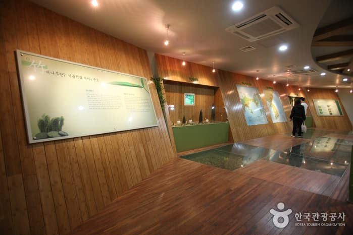 Korea Bamboo Museum (한국대나무박물관)