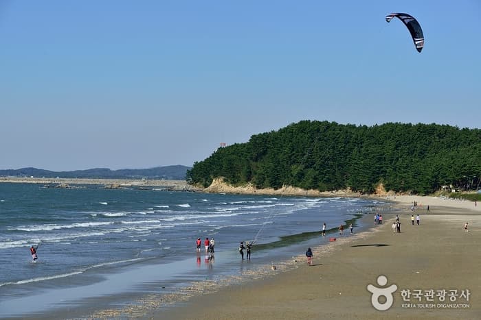 Chunjangdae Beach (춘장대해수욕장)