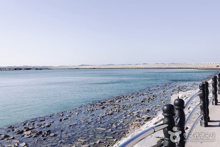 Boryeong Jukdo Island (죽도 (보령))
