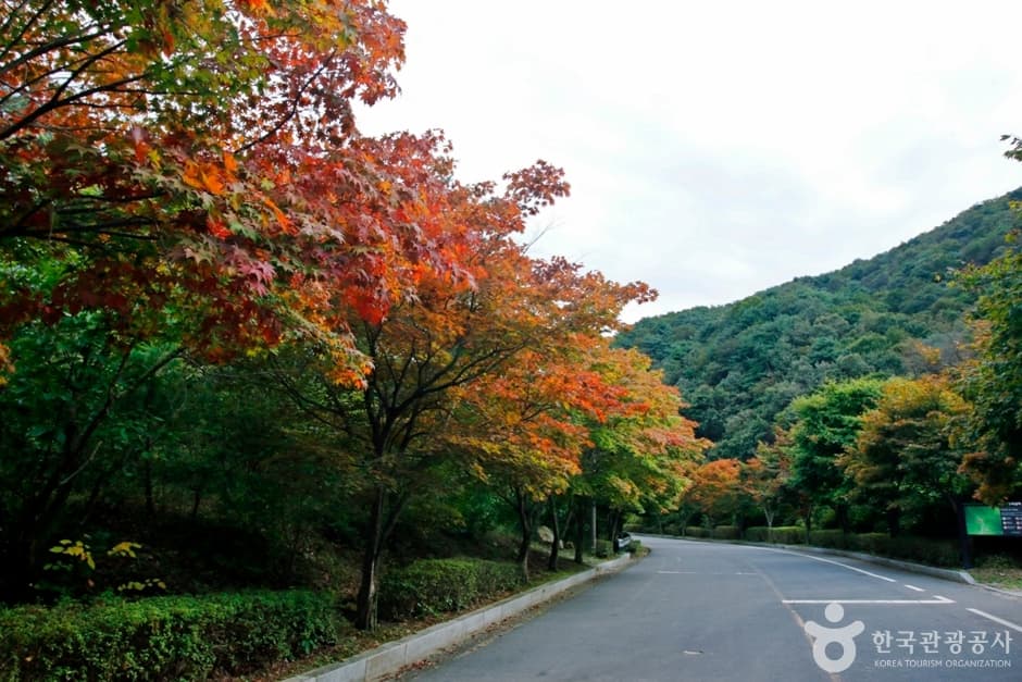 Surakgyegok Valley (수락계곡)