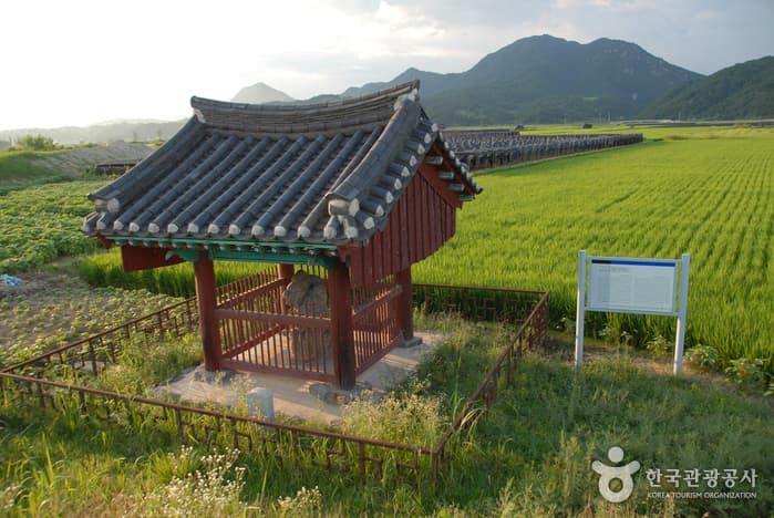 Dragon Statue and Tiger Statue in Cheonnae-ri, Geumsan (금산 천내리 용호석)