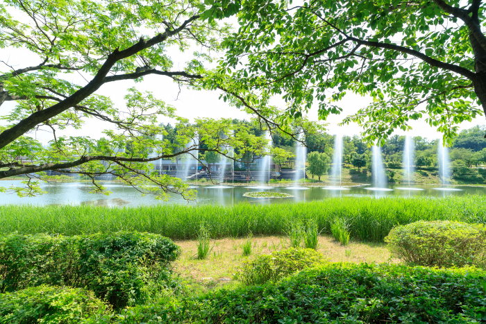Seoseoul Lake Park (서서울호수공원)