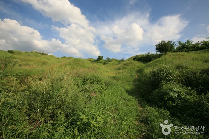 Ancient Tombs in Bullo-dong (대구 불로동 고분군)