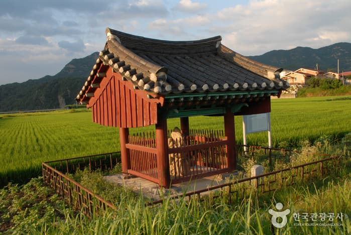 Dragon Statue and Tiger Statue in Cheonnae-ri, Geumsan (금산 천내리 용호석)