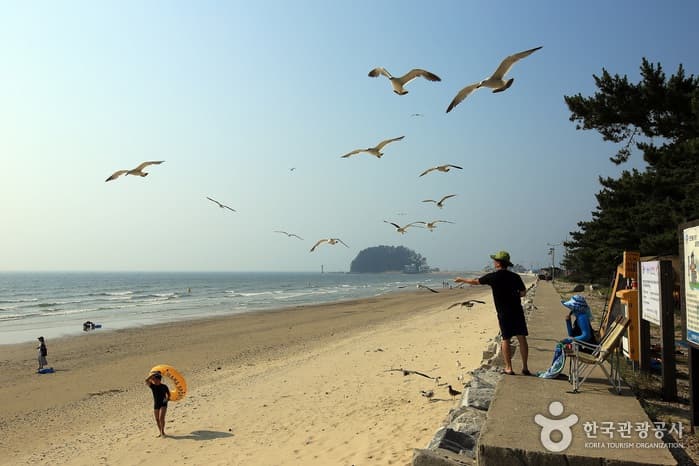 Mageompo Beach (마검포해수욕장)