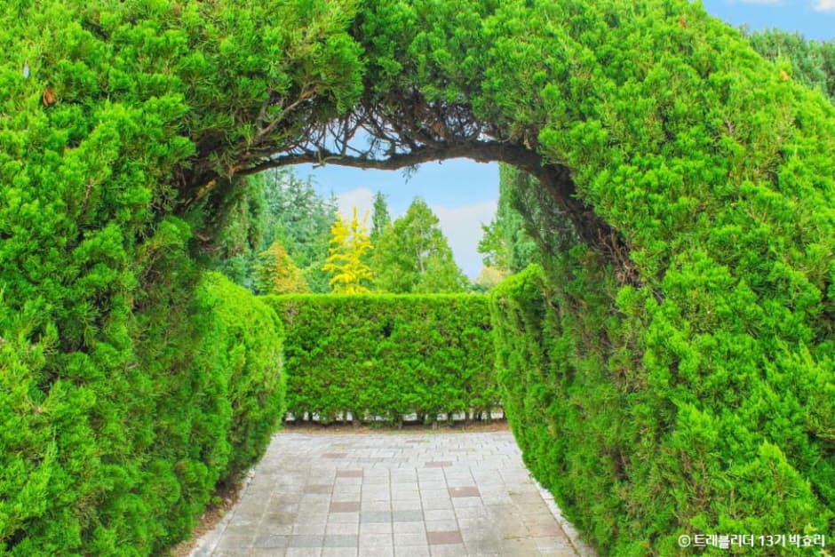 Changwon Arboretum (창원수목원)