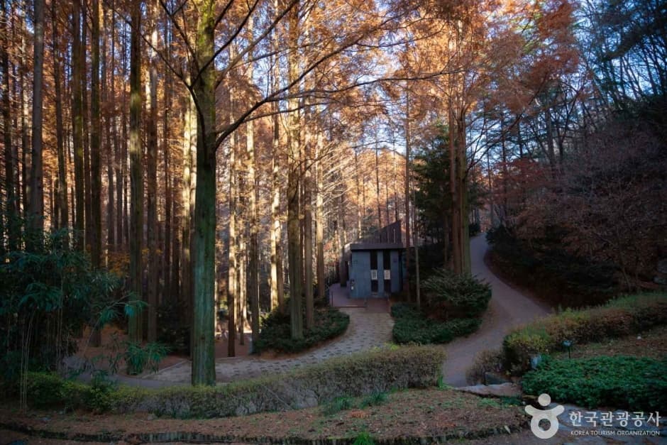 Jangtaesan Recreational Forest (장태산자연휴양림)