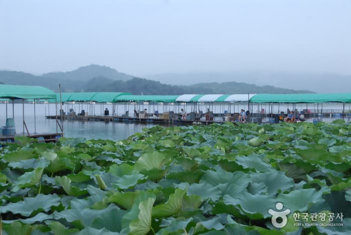 Bongjae Fishing Area (봉재낚시터)