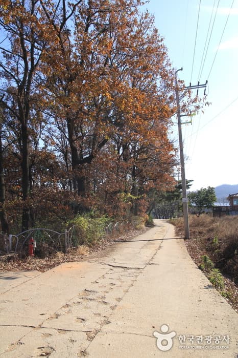 [Ganghwa Nadeul-gil Course 3] Royal Tomb Trail ([강화 나들길 제3코스] 고려왕릉 가는 길)