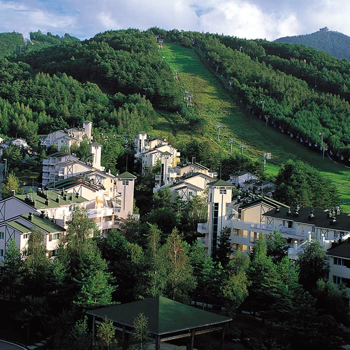 Yongpyong Resort Villa Condo (용평리조트 빌라콘도)