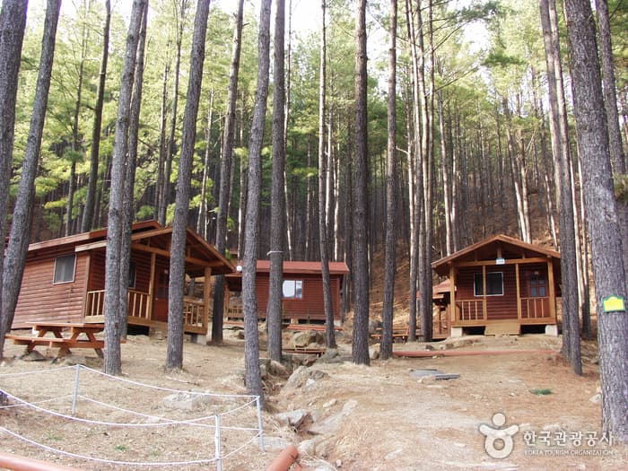 Baegunsan Recreational Forest (백운산자연휴양림)