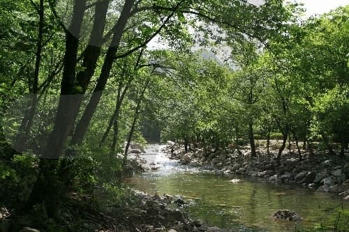 Seoksangyegok Valley (석산계곡)