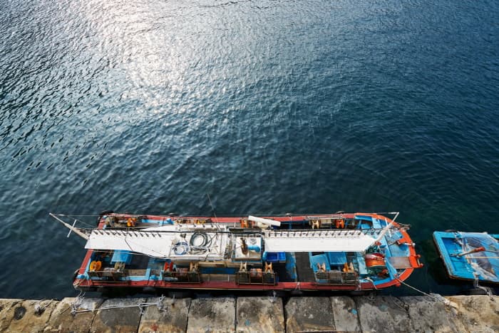 Jeodonghang Port (저동항)