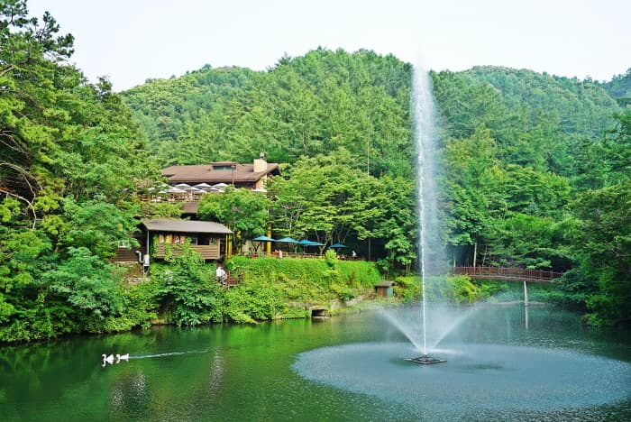 Maninsan Recreational Forest (만인산 자연휴양림)