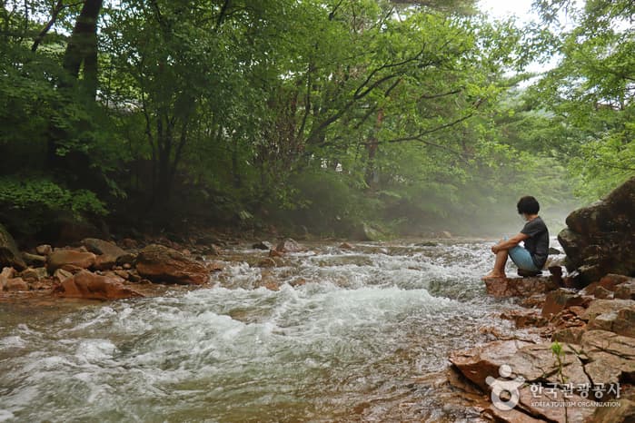 Mansugyegok Valley (만수계곡)