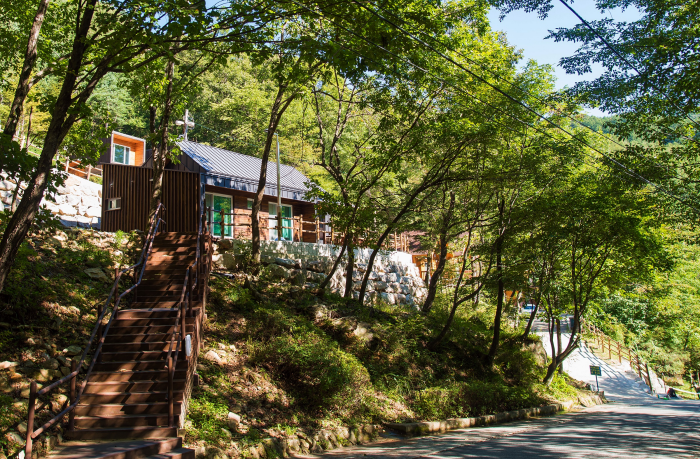 Jipdarigol Recreational Forest (집다리골자연휴양림)