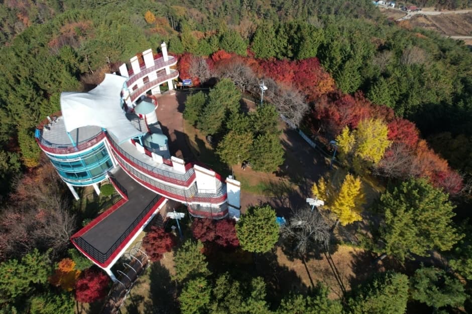 Jinyangho Park (진양호 공원 (진양호 전망대, 동물원))