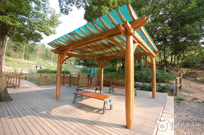 Gwanaksan Ecological Park (관악산 생태공원)