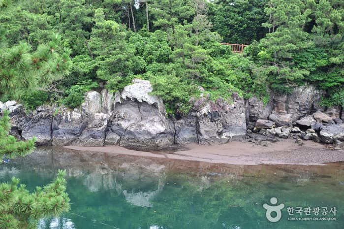 Soesokkak Estuary (쇠소깍)