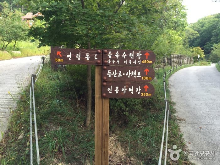 Yonghwasan National Recreational Forest (국립 용화산자연휴양림)