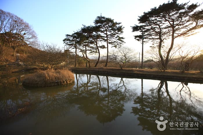 Myeongokheon Garden (담양 명옥헌 원림)