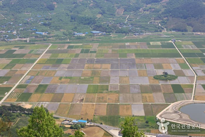 Pyeongsari Field (평사리들판)