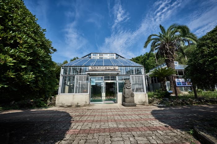 Halla Arboretum (한라수목원)