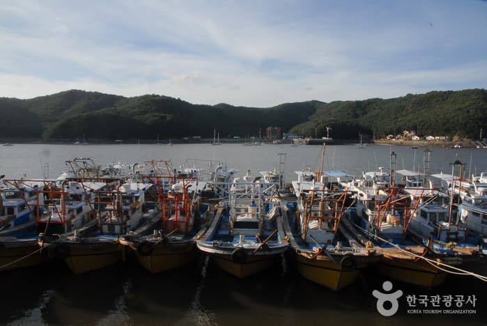 Ocheon Port (오천항)