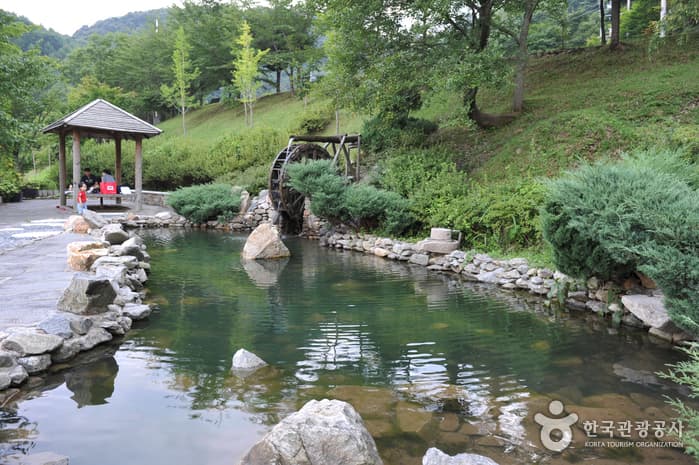 Baegasan Recreational Forest (백아산자연휴양림)