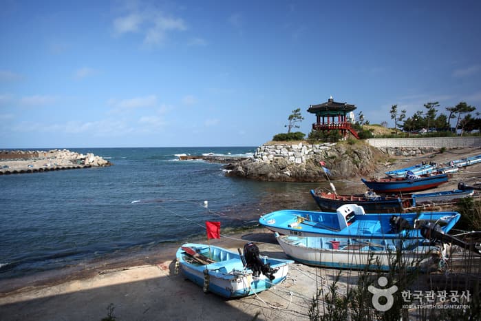 Daege Wonjo Village (Chayu Fishing Village) (대게원조 차유어촌체험마을)