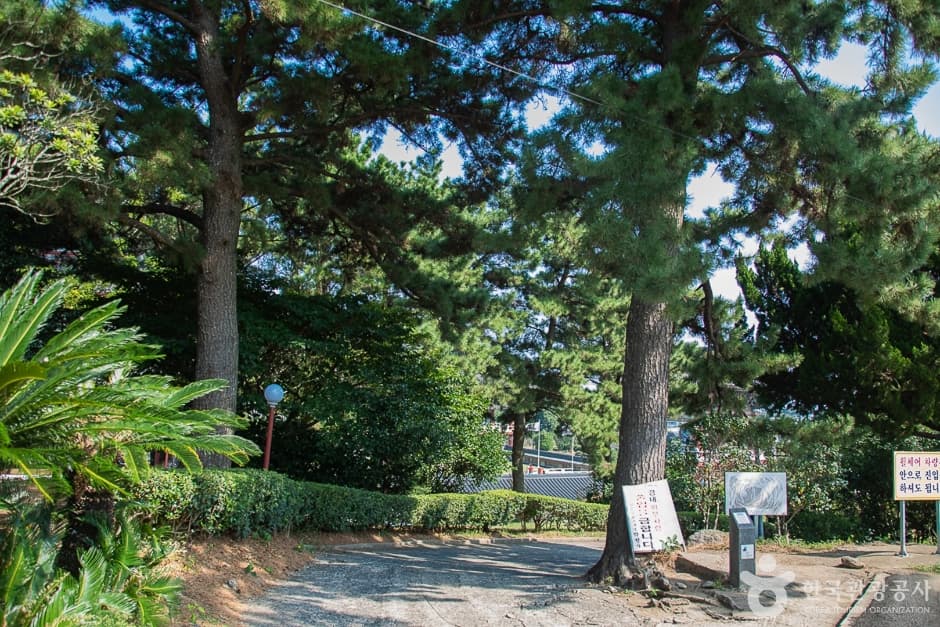 Jeju Yakcheonsa Temple (약천사(제주))