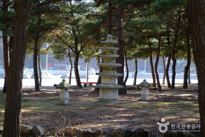 Yeonpo Beach (연포해수욕장)