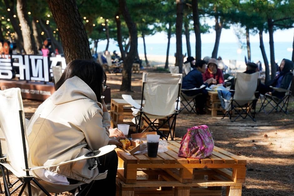 Gangneung Coffee Festival (강릉커피축제)
