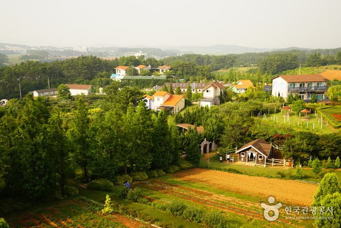Farm Kamille, Taean (팜카밀레)